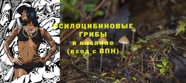 ПСИЛОЦИБИНОВЫЕ ГРИБЫ Армянск
