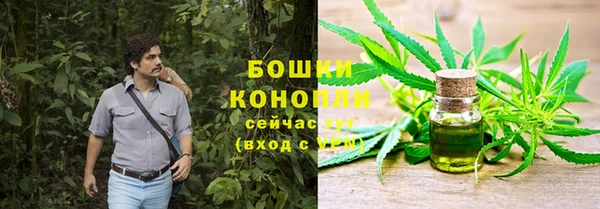 амф Арсеньев