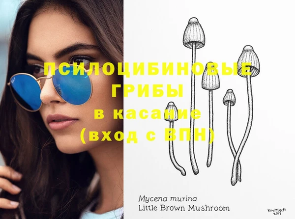 мескалин Аркадак