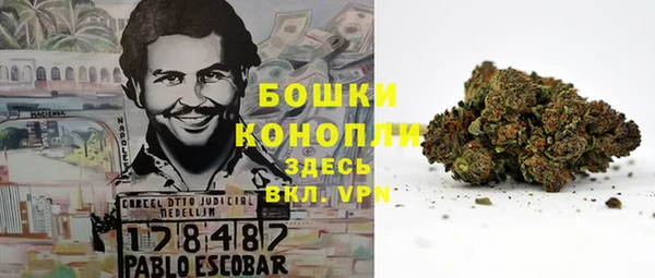 ПСИЛОЦИБИНОВЫЕ ГРИБЫ Армянск